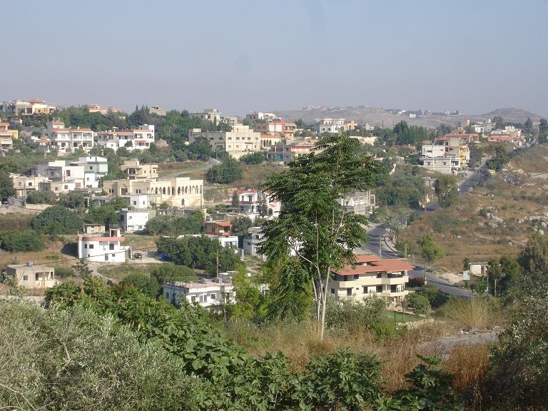 "لبنان الحلو".. بلدة كوثرية السياد - الجنوب