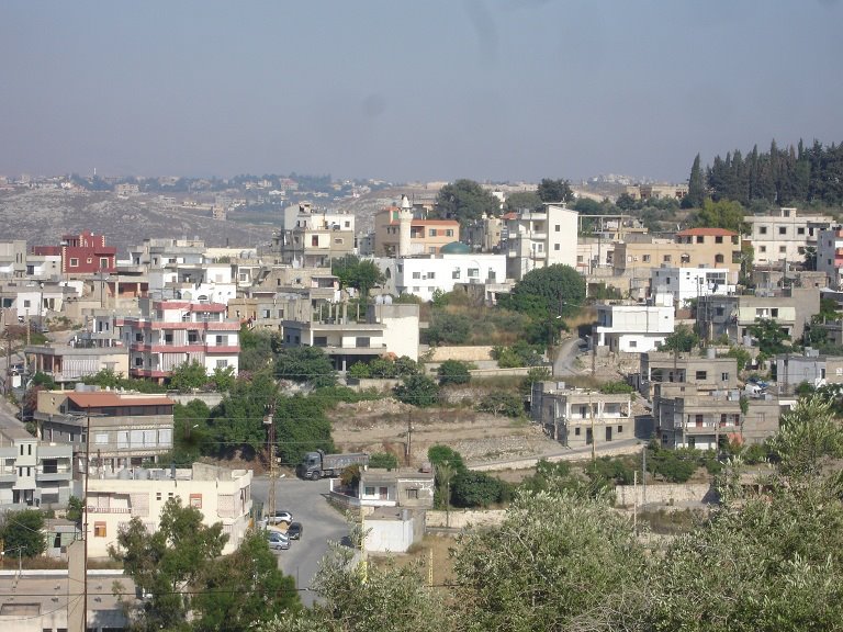 "لبنان الحلو".. بلدة كوثرية السياد - الجنوب