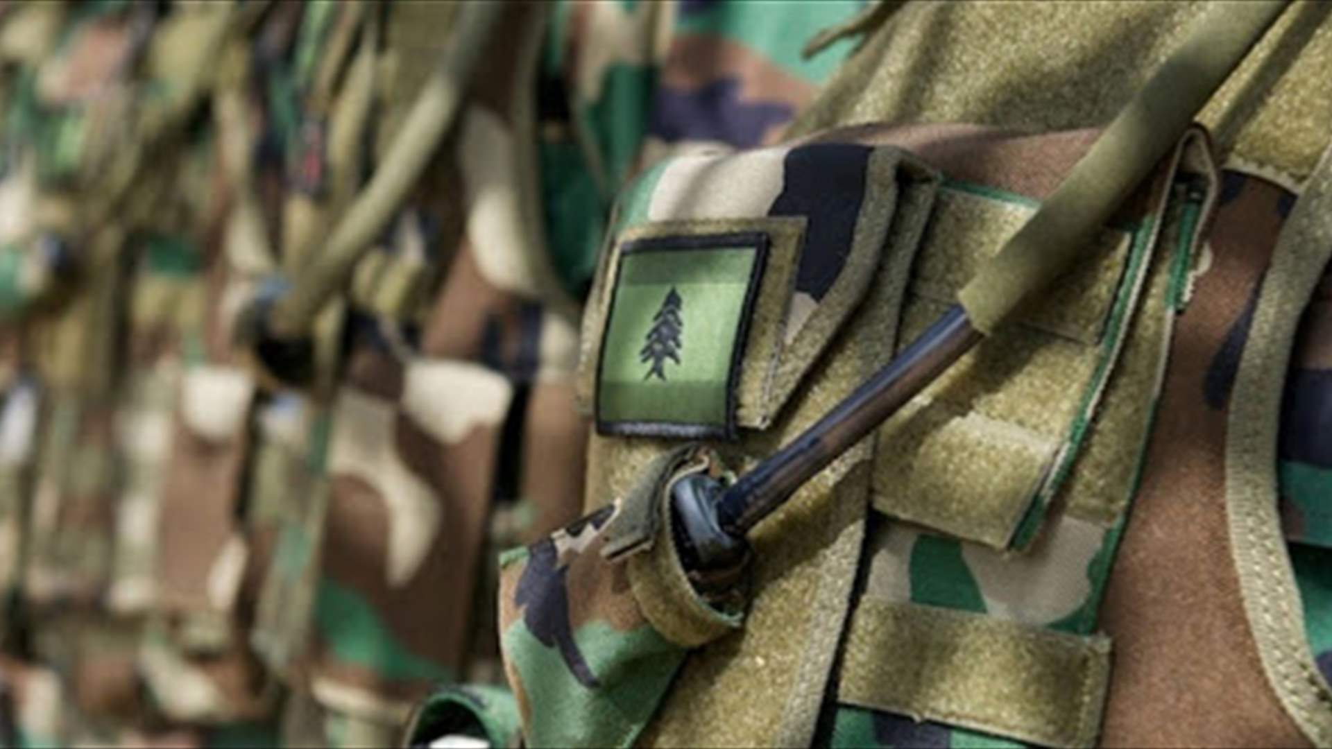 ما حقيقة نقص المواد الغذائية الطازجة والساخنة في الجيش اللبناني؟
