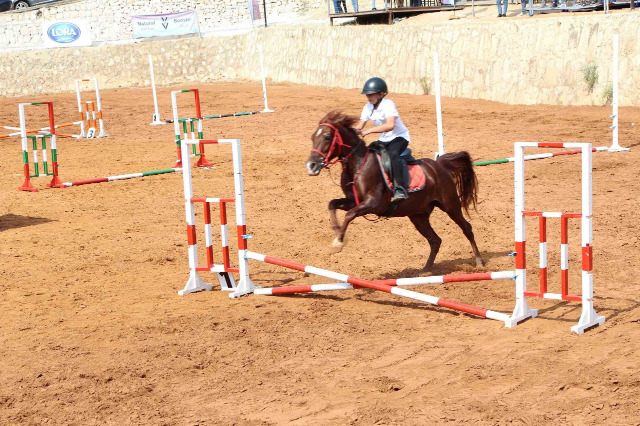 نادي "Horse Ville Clube" للفروسية نظّم أول بطولة ودّية من نوعها بقفز الحواجز في الجنوب على مرمح "صيدا كاونتري كلوب - القرية"