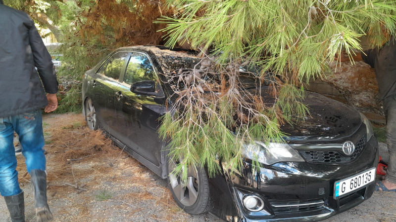 بالصور - العاصفة تطيح بشجرة معمرة في صيدا وتضرر سيارة!