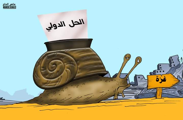 الحل